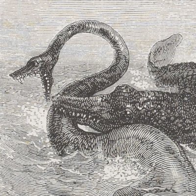 Le monde perdu (Voyage au centre de la terre, éd. 1867) - Pannemaker d'après Riou