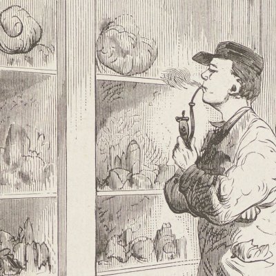 L'étagère aux fossiles (Voyage au centre de la terre, éd. 1867) - Pannemaker d'après Riou 