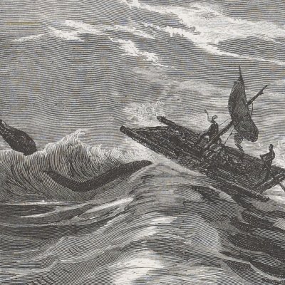 Le radeau soulevé hors des flots (Voyage au centre de la terre, éd. 1867) - Pannemaker d'après Riou 