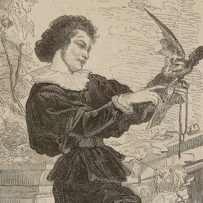 Salon de 1855. — Le Jeune Fauconnier, tableau par M. Couture (L'Illustration : journal universel, 4 août 1855)