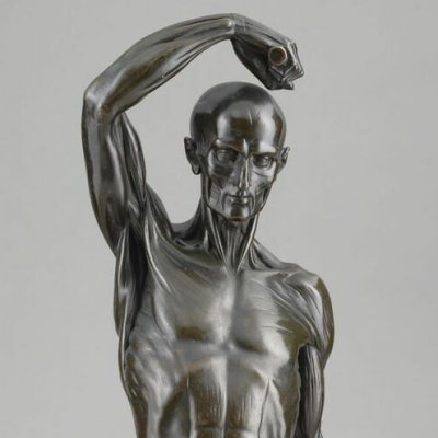 Homme écorché debout, le bras droit levé (version en bronze du Louvre) - Houdon