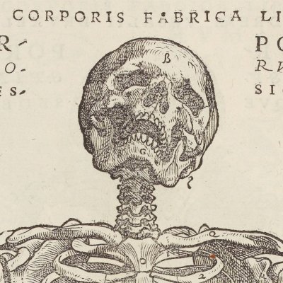 Squelette de face avec une bêche (André Vésale, De humani corporis fabrica, Bâle, 1543, p163)