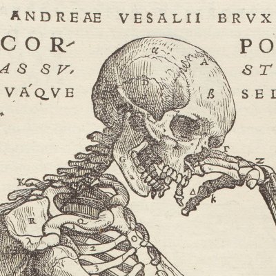 Squelette de profil méditant (André Vésale, De humani corporis fabrica, Bâle, 1543, p164)