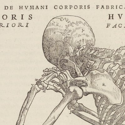 Squelette de dos, priant (André Vésale, De humani corporis fabrica, Bâle, 1543, p165)