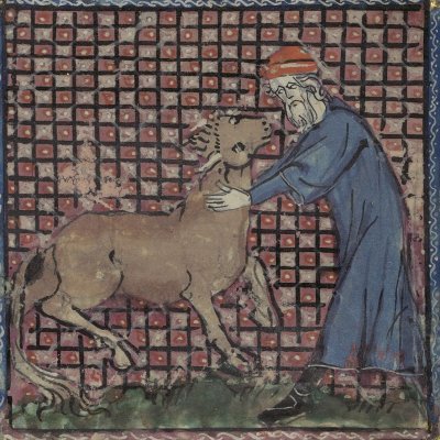 Douleur du père d'Iô face à sa fille (Le romant des Fables Ovide le Grant, Ms-5069 réserve, F6v)