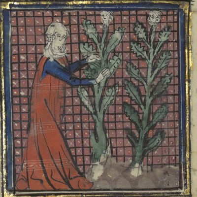 Les Héliades changées en arbres (Le romant des Fables Ovide le Grant, Ms-5069 réserve, F13r)