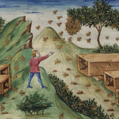 Les abeilles (Virgile, Géogiques, IV, Escurial RBME S-II-19, f41r)