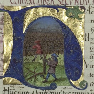 La vigne (Virgilii opera, Vatican, Pal.lat.1632, Géorgiques 2, f29v)