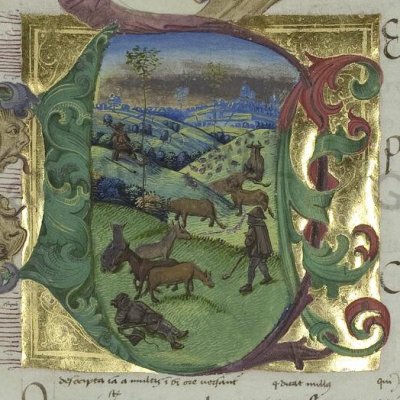 L'élevage (Virgilii opera, Vatican, Pal.lat.1632, Géorgiques 3, f40v)