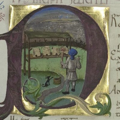 Les abeilles (Virgilii opera, Vatican, Pal.lat.1632, Géorgiques 4, f51v)