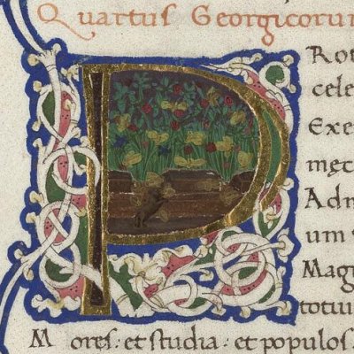 Les abeilles (Vergilii opera, Vatican, Reg.Lat.1988, Géorgiques 4, f45v)