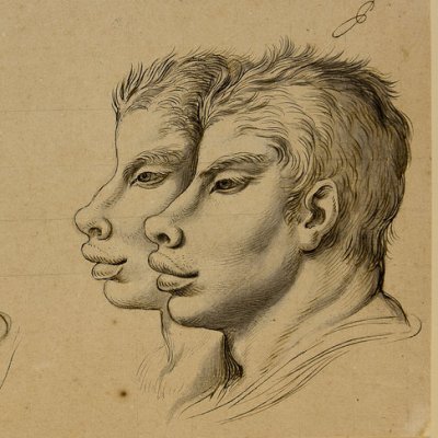 Trois têtes physiognomoniques inspirées par le cochon - Le Brun