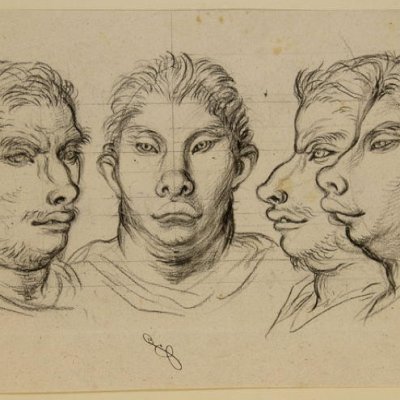 Quatre têtes physiognomoniques inspirées par le cochon - Le Brun