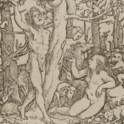 Le péché originel (Les simulachres & historiees faces de la mort) - Lützelburger d'après Holbein