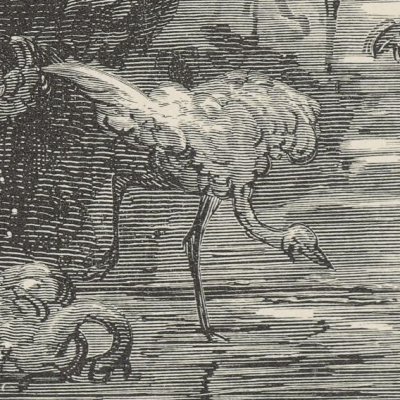 Birds spread over all the Earth (Milton's Paradise Lost, 1866) - Gustave Doré