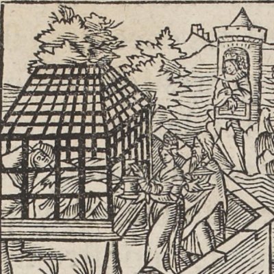 Angélique se fait transporter auprès de Renaud. Joutes d'Astolphe et de Brandimart (Roland l’amoureux, ch9, 1549)