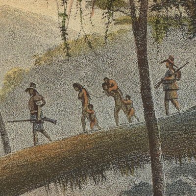 Forêt vierge. Les bords du Parahïba (Voyage pittoresque et historique au Brésil, t.1) - Debret