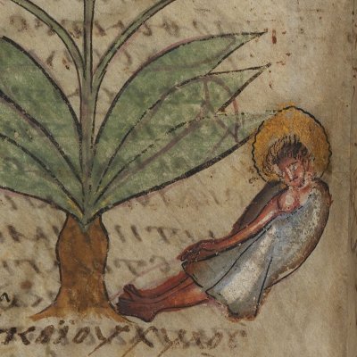 Grande chélidoine (Dioscoride, De materia medica, Grec 2179 f3v)