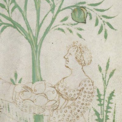 La pêche (Tacuinum sanitatis, Liège Ms.1041, f2v)
