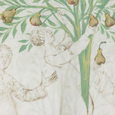 La poire (Tacuinum sanitatis, Liège Ms.1041, f4r)
