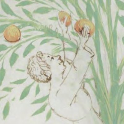 Pomme douce (Tacuinum sanitatis, Liège Ms.1041, f6r)