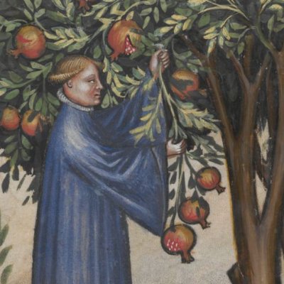 La grenade douce (Tacuinum sanitatis, Vienne Ms.2644, f7r)