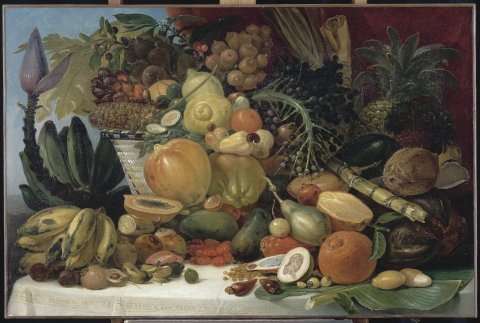 Les fruits du Nouveau Monde - Jean-Baptiste Debret